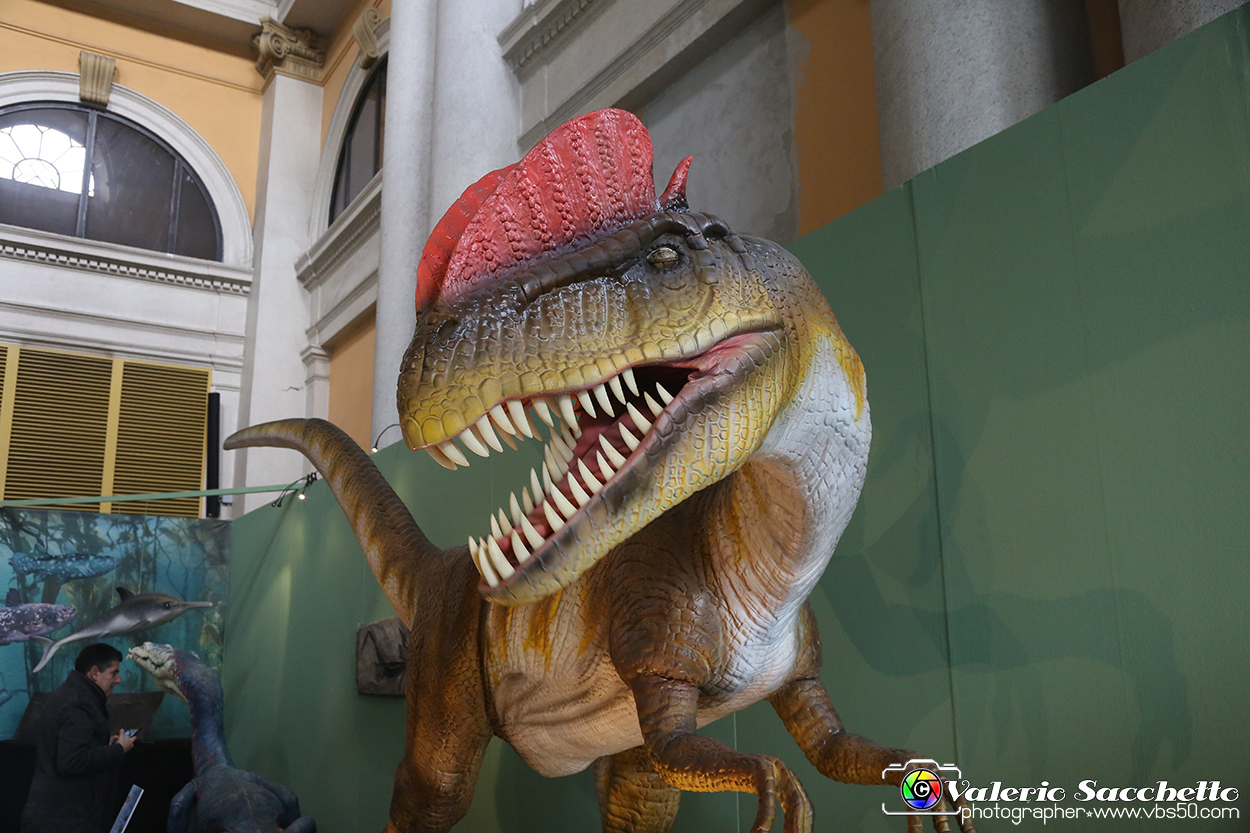 VBS_0934 - Dinosauri. Terra dei giganti.jpg